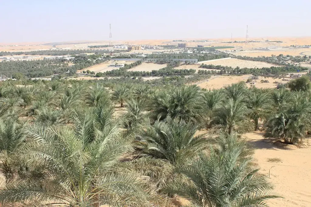 Liwa Oasis